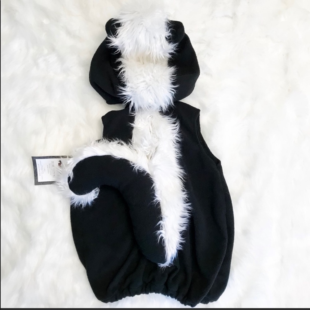 Pottery Barn Skunk Costume